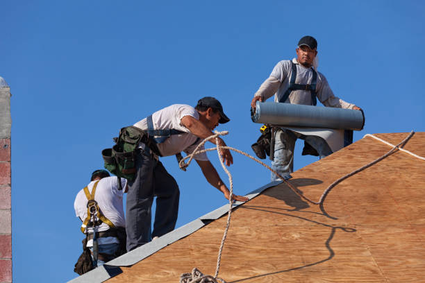 Best Roof Gutter Cleaning  in Dinuba, CA